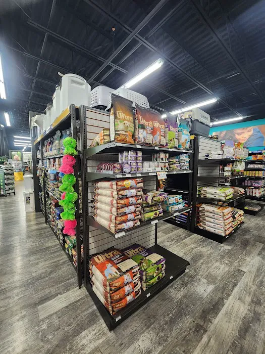 Pet Supermarket Picture 4