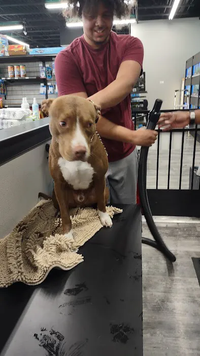 Pet Supermarket Picture 7