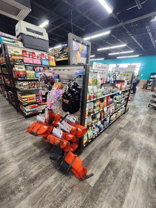 Pet Supermarket Picture 9