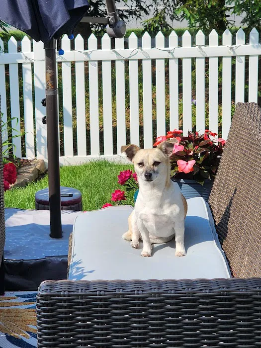 Millsboro Animal Hospital Picture 5