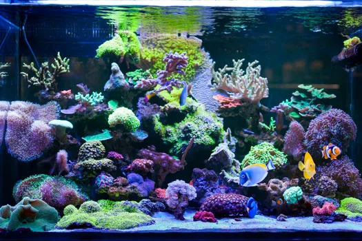 Gilmore's Tidy Tanks LLC Picture 1