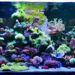 Gilmore's Tidy Tanks LLC