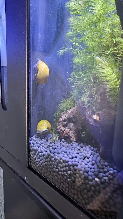 Rainbow River Aquatics Picture 6