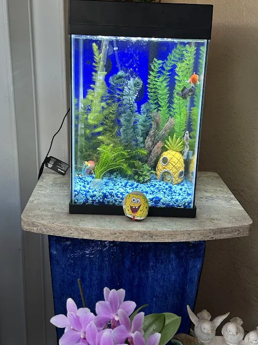 Rainbow River Aquatics Picture 8
