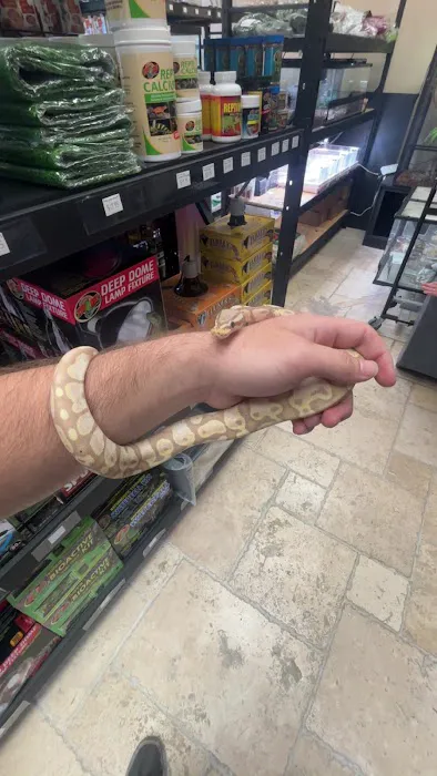 Florida Born Exotics Pet Shop PSL Picture 1