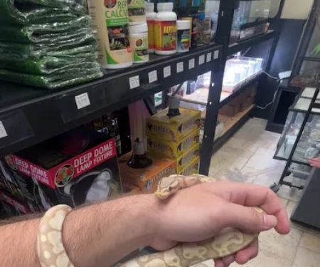 Florida Born Exotics Pet Shop PSL