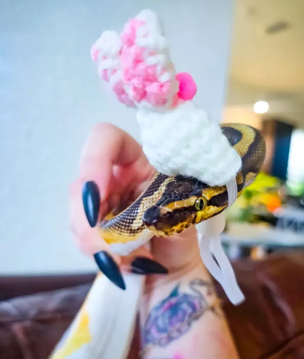 Florida Born Exotics Pet Shop PSL Picture 4