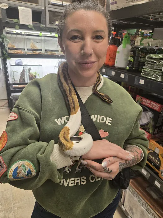 Florida Born Exotics Pet Shop PSL Picture 5