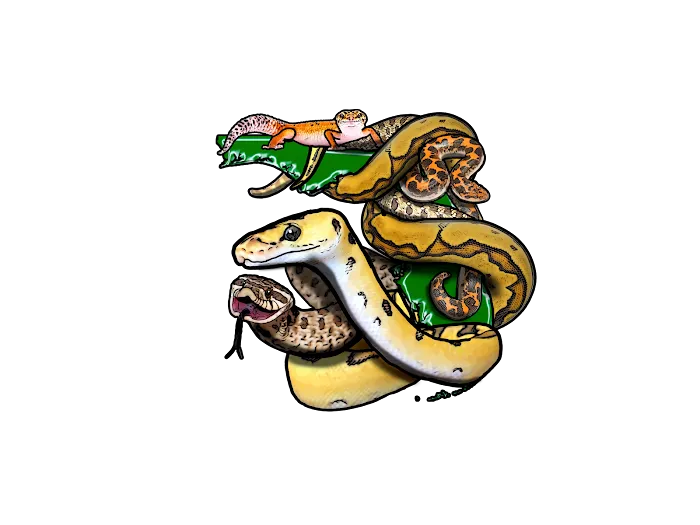 Florida Born Exotics Pet Shop PSL Picture 10