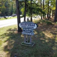 Crossroads Veterinary Clinic/Selbyville Animal Hospital ico