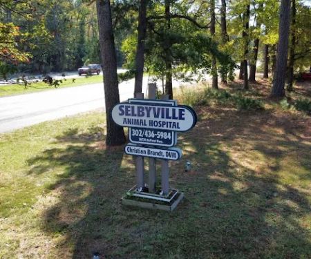 Crossroads Veterinary Clinic/Selbyville Animal Hospital