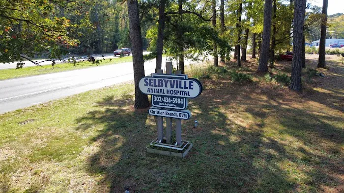 Crossroads Veterinary Clinic/Selbyville Animal Hospital Picture 3