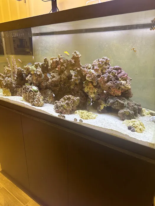 The Fish Store / Custom Aquariums Picture 3