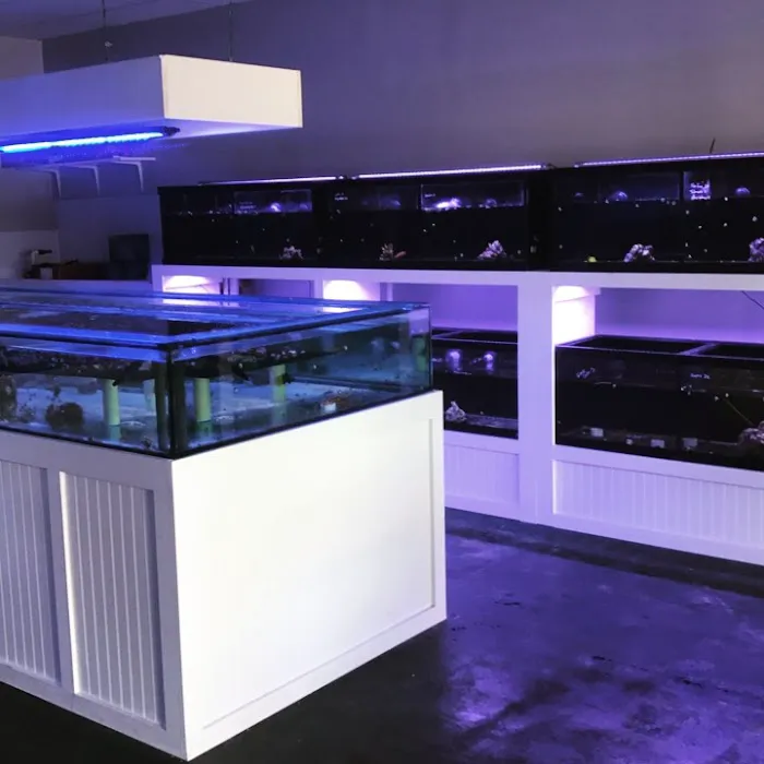 The Fish Store / Custom Aquariums Picture 2