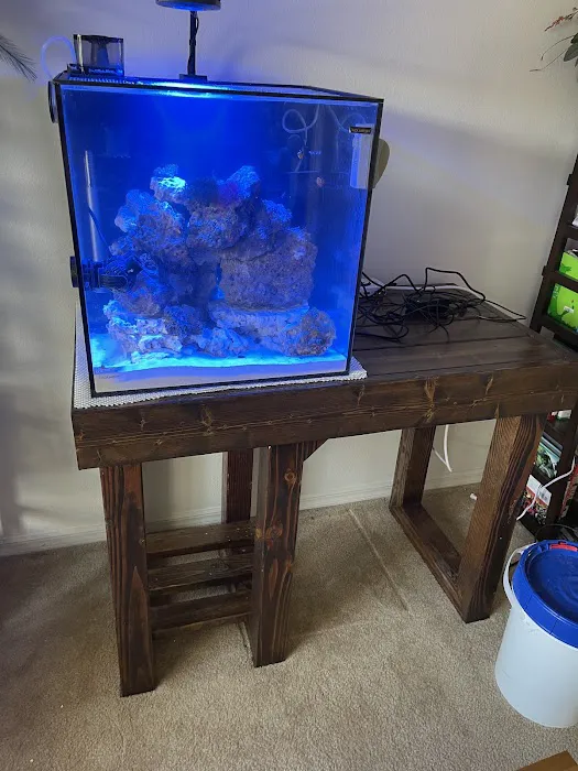 The Fish Store / Custom Aquariums Picture 5