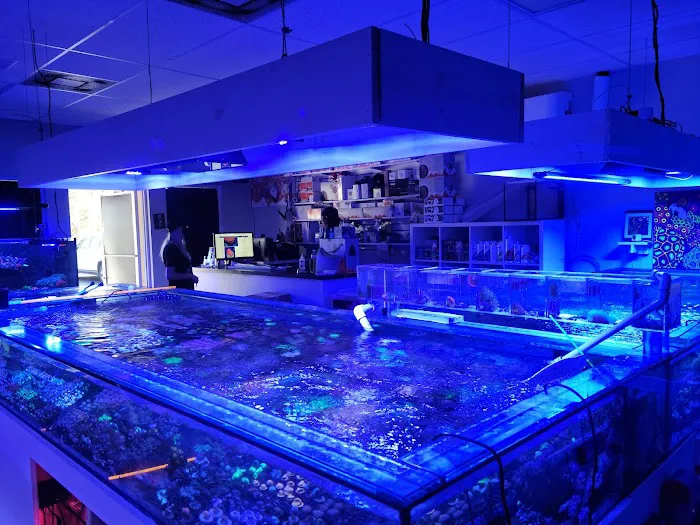 The Fish Store / Custom Aquariums Picture 4