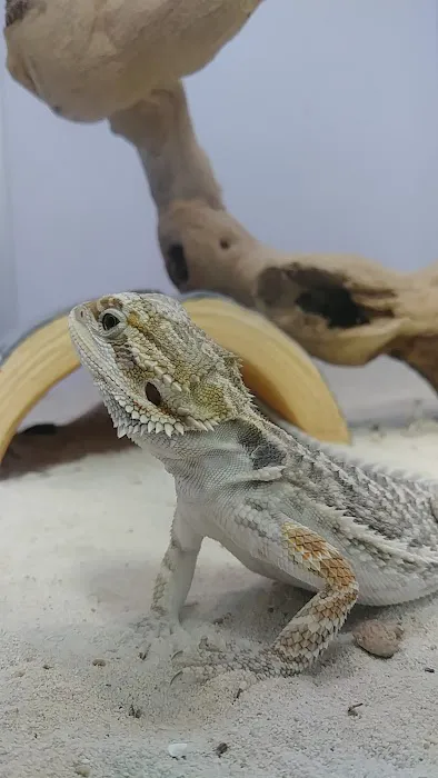 Pet Supermarket Picture 1