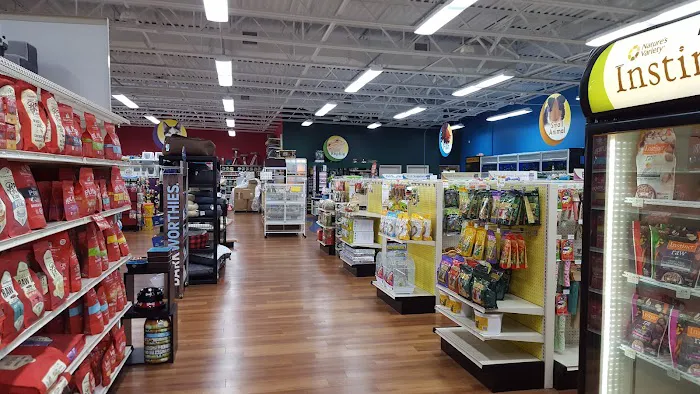 Pet Supermarket Picture 3