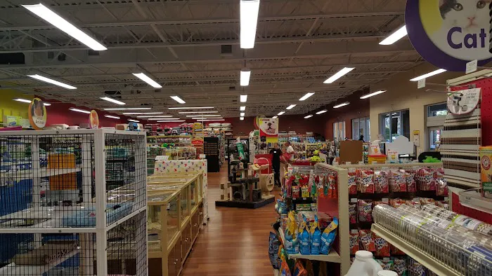 Pet Supermarket Picture 4