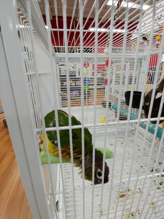 Pet Supermarket Picture 5