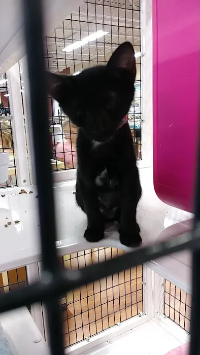 Pet Supermarket Picture 6