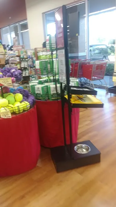 Pet Supermarket Picture 7