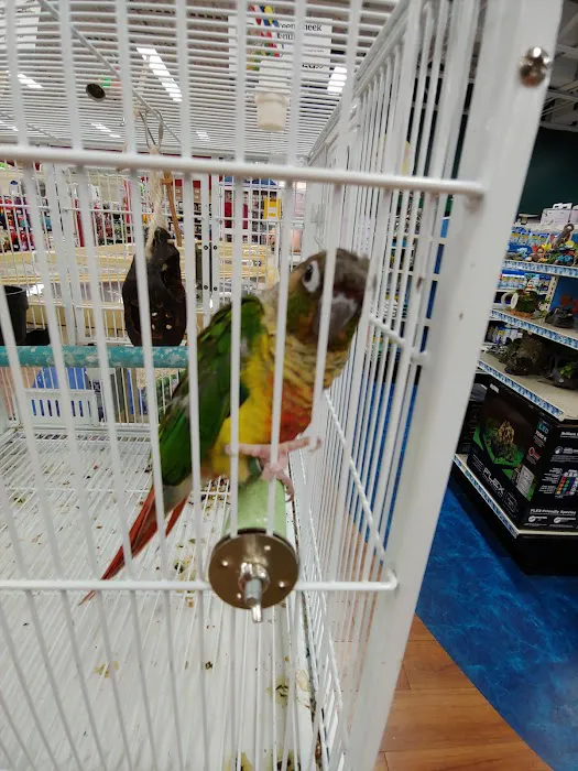 Pet Supermarket Picture 10