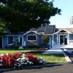 Coastal Veterinary