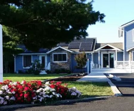 Coastal Veterinary