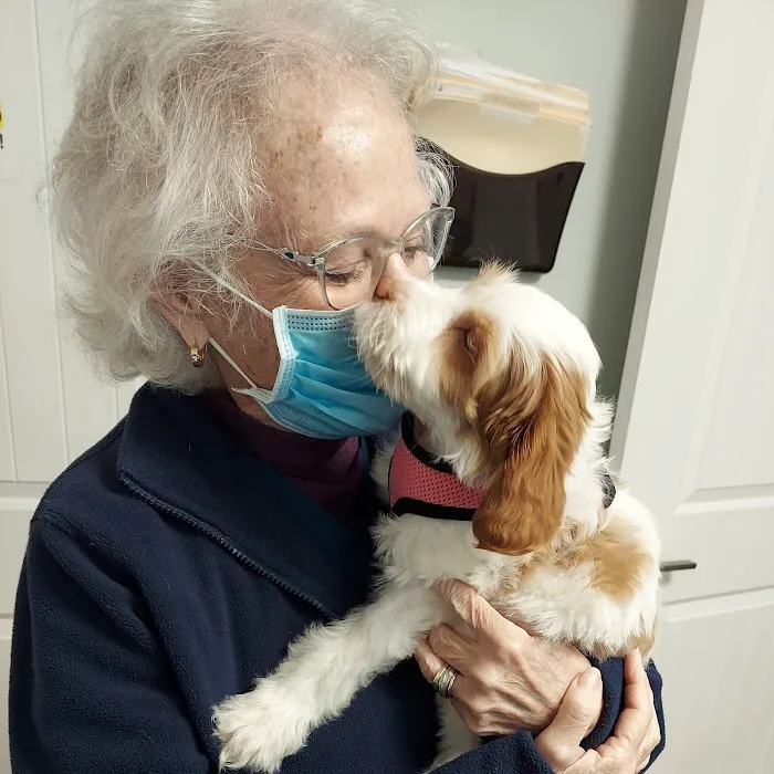 Coastal Veterinary Picture 5
