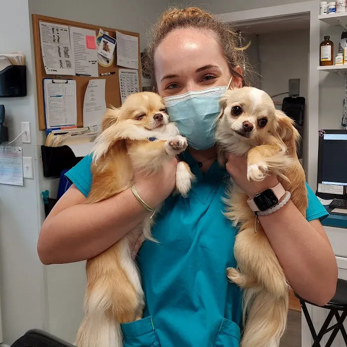 Coastal Veterinary Picture 6