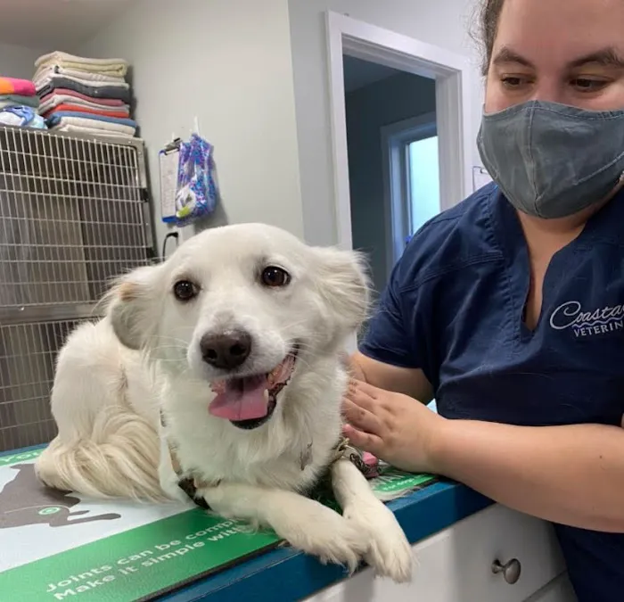 Coastal Veterinary Picture 7