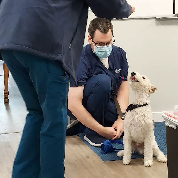 Coastal Veterinary Picture 9