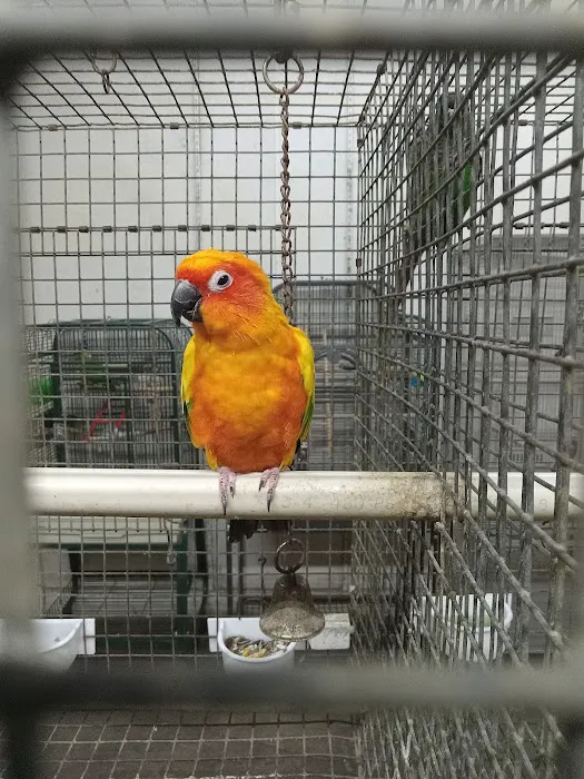 Nick’s Pets Picture 3