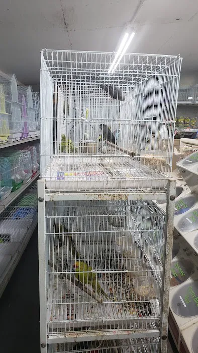 Nick’s Pets Picture 2