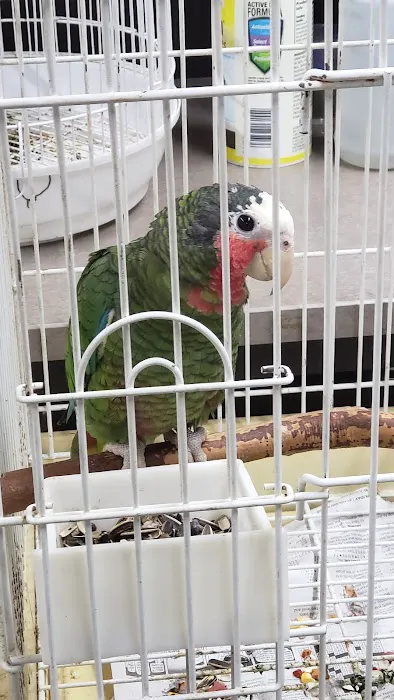 Nick’s Pets Picture 4