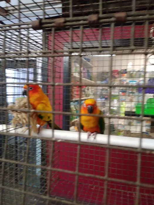 Nick’s Pets Picture 8