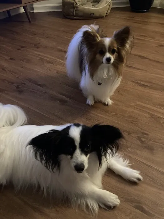 Pets On The Shore Veterinary Hospital Picture 2