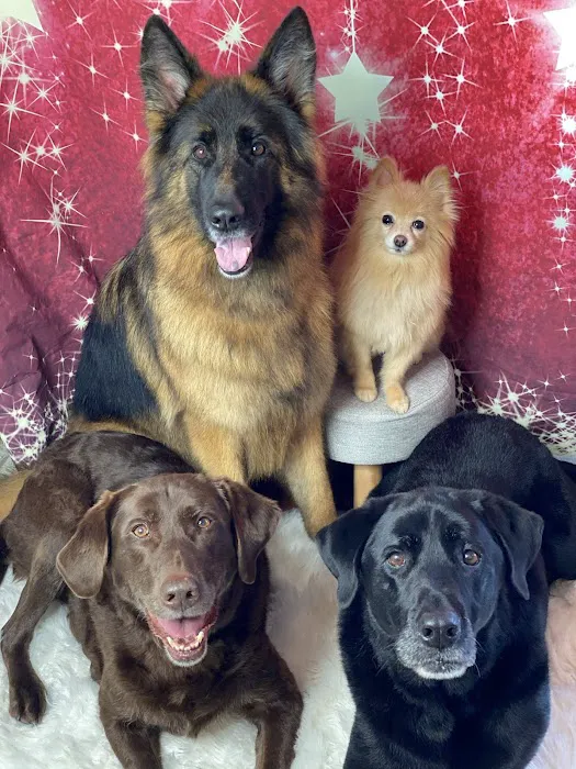 Pets On The Shore Veterinary Hospital Picture 8