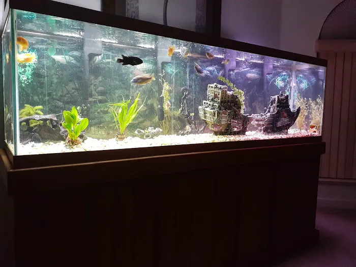 TCAquariums Picture 2