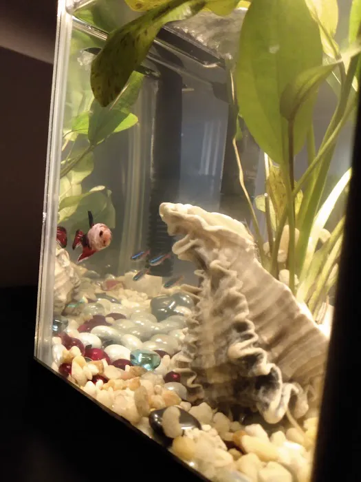 TCAquariums Picture 8