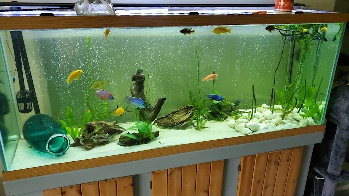 TCAquariums Picture 9