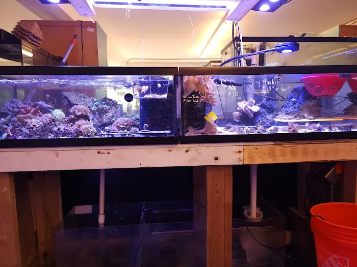 TCAquariums Picture 6