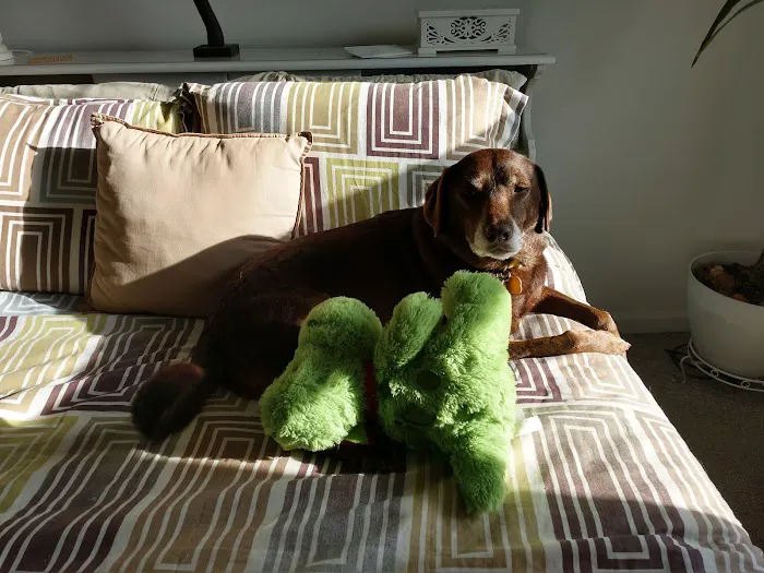 Bayside Animal Hospital Picture 2