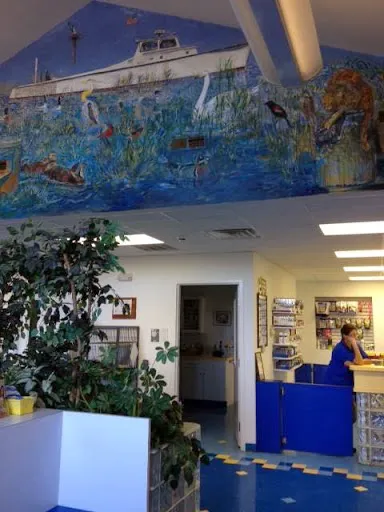 Bayside Animal Hospital Picture 5