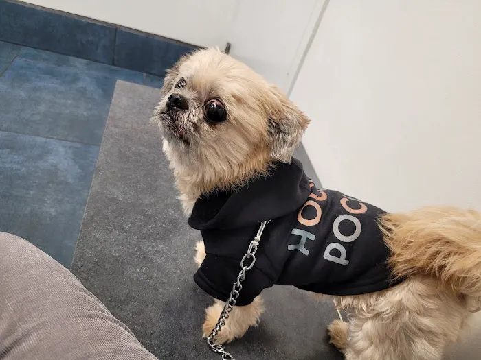 Bayside Animal Hospital Picture 6