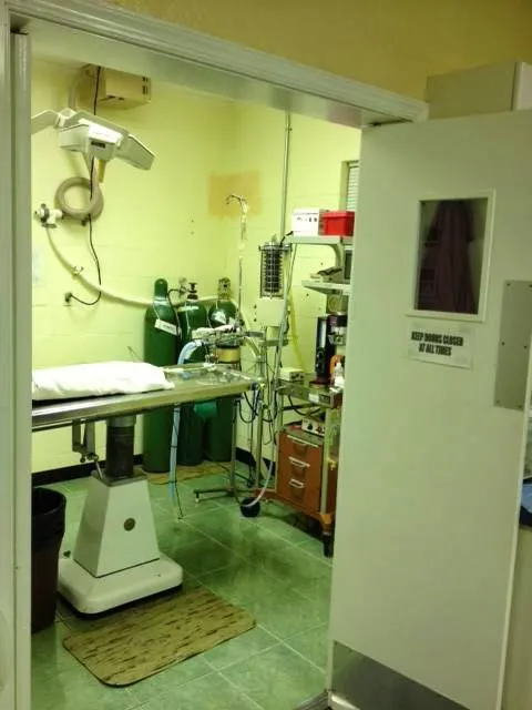 Bayside Animal Hospital Picture 7
