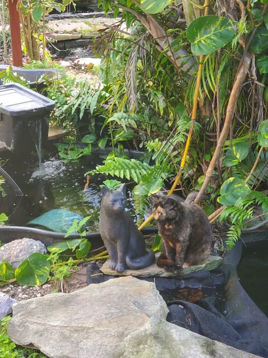 Miami Fish Garden and Hatchery Picture 3