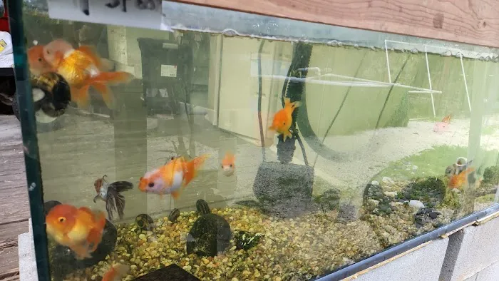 Miami Fish Garden and Hatchery Picture 6