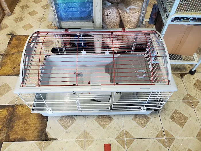 Pet Shop Picture 2